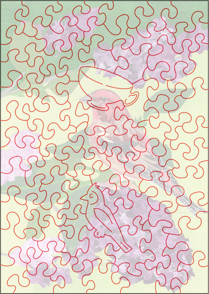 Lilac Purple Finch