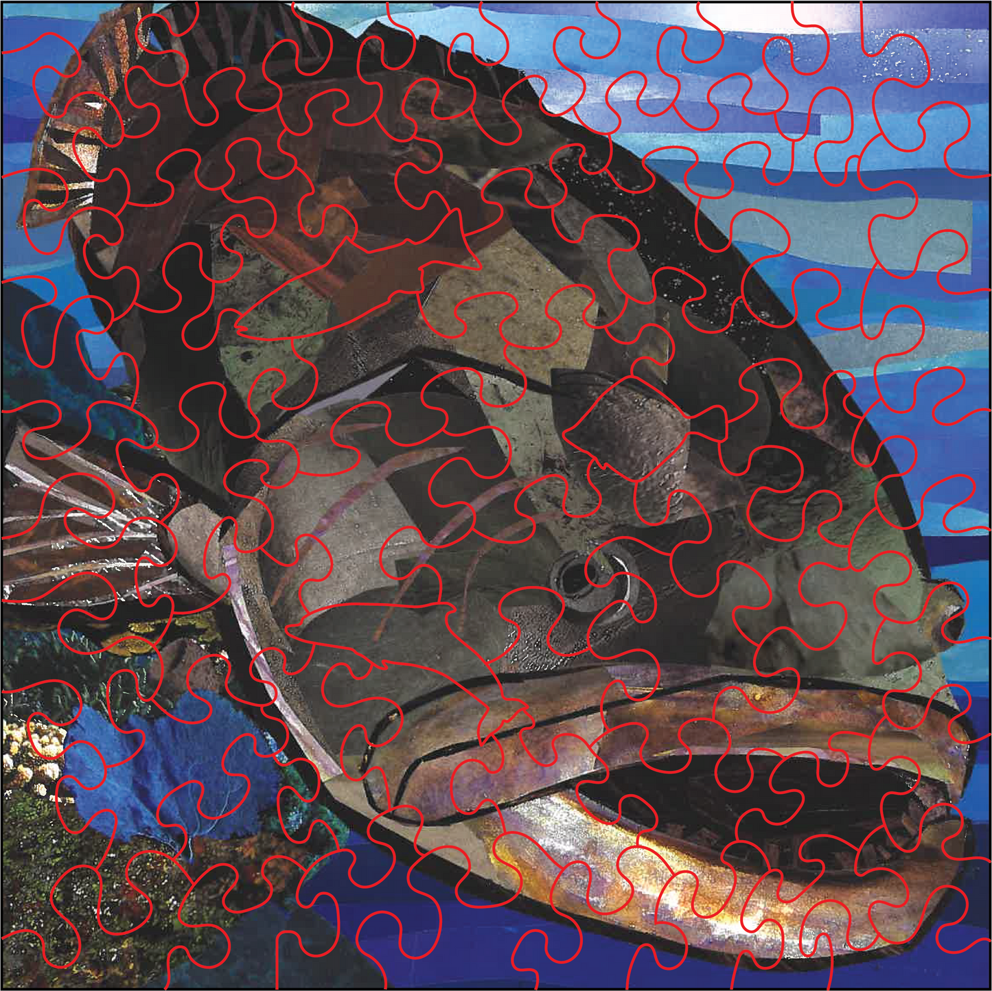 Grouper Fish