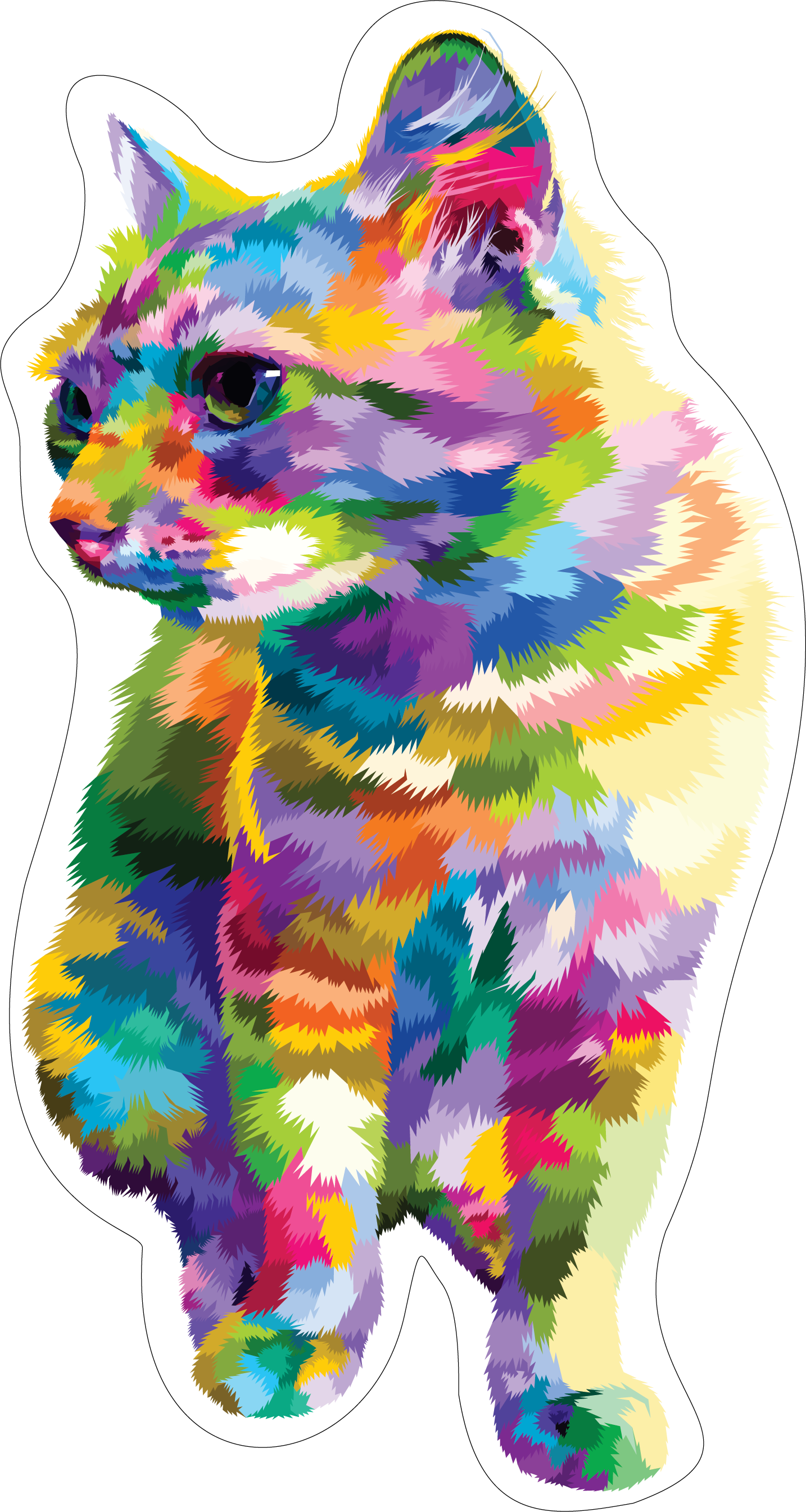 Colorful Cat